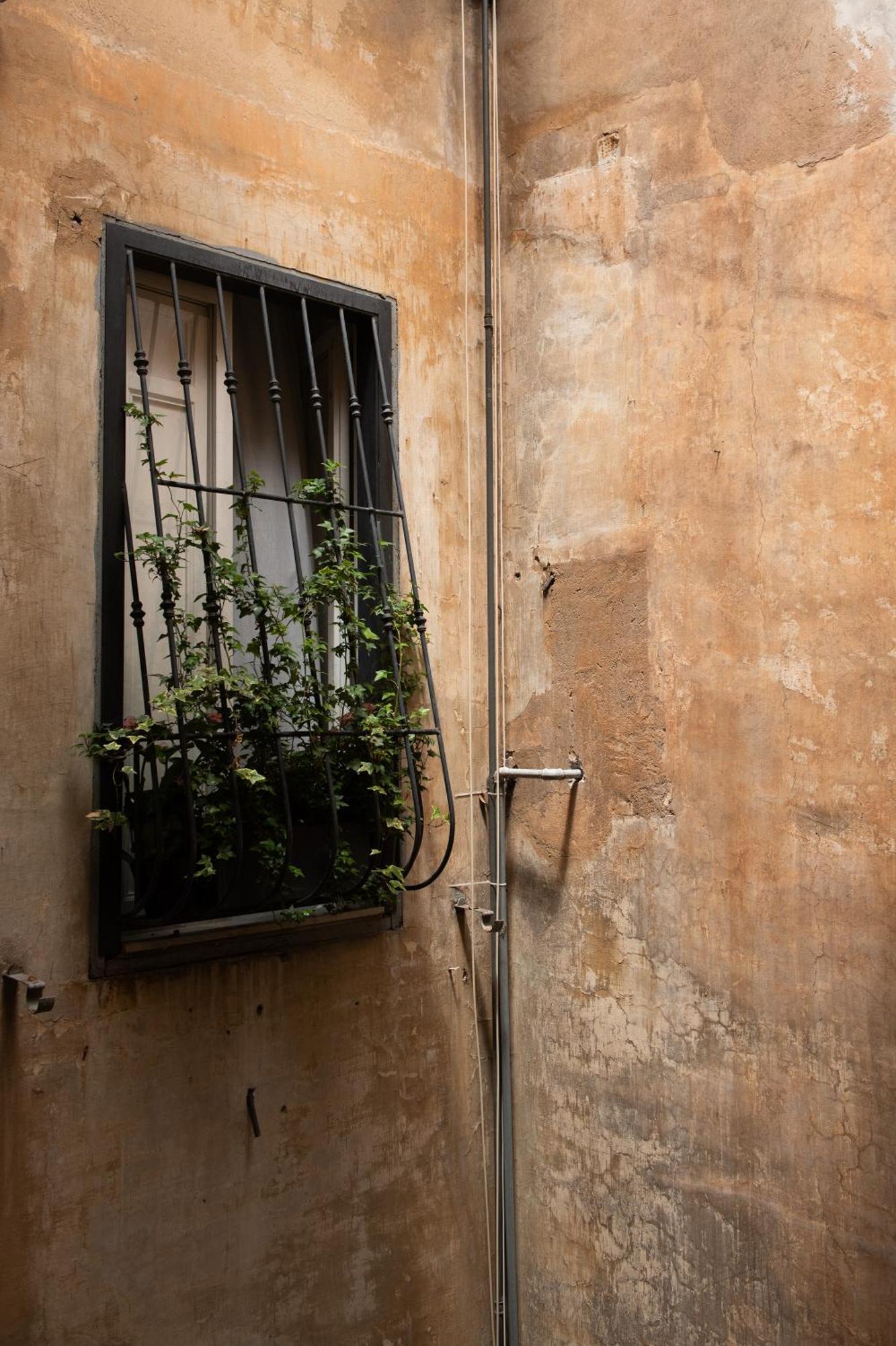 Colosseum View Accomodation Rome Extérieur photo